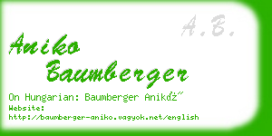 aniko baumberger business card